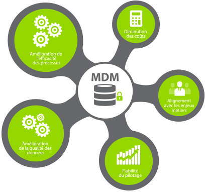 Master Data Management